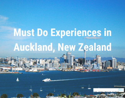 things to do in auckland nz
