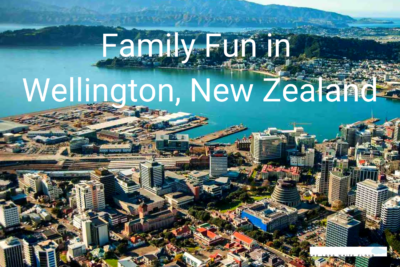 family fun things to do in wellington