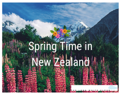 spring time in new zealand